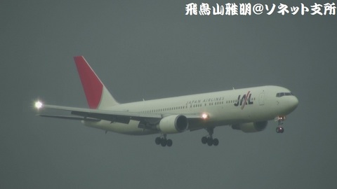 日本航空 JA8986＠雨天下の東京国際空港。京浜島つばさ公園より。