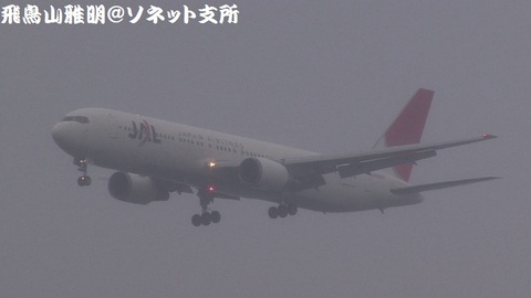 日本航空 JA8987＠東京国際空港。雨天下の浮島町公園より。