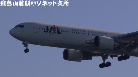 日本航空　JA8988＠東京国際空港