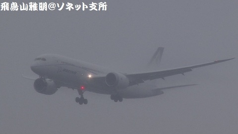 N787FT＠東京国際空港。雨天下の浮島町公園より。